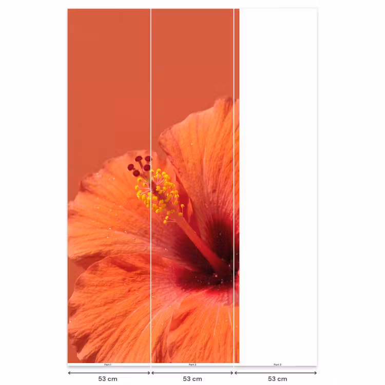 Behang - Bloemen - Oranje - Natuur — 6