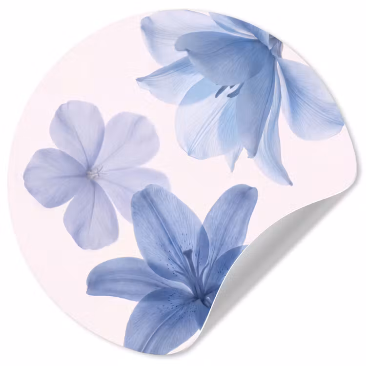 Behangcirkel - Bloemen - Transparant - Modern — 1
