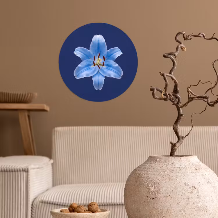 Behangcirkel - Blauwe lelie - Bloemen — 2