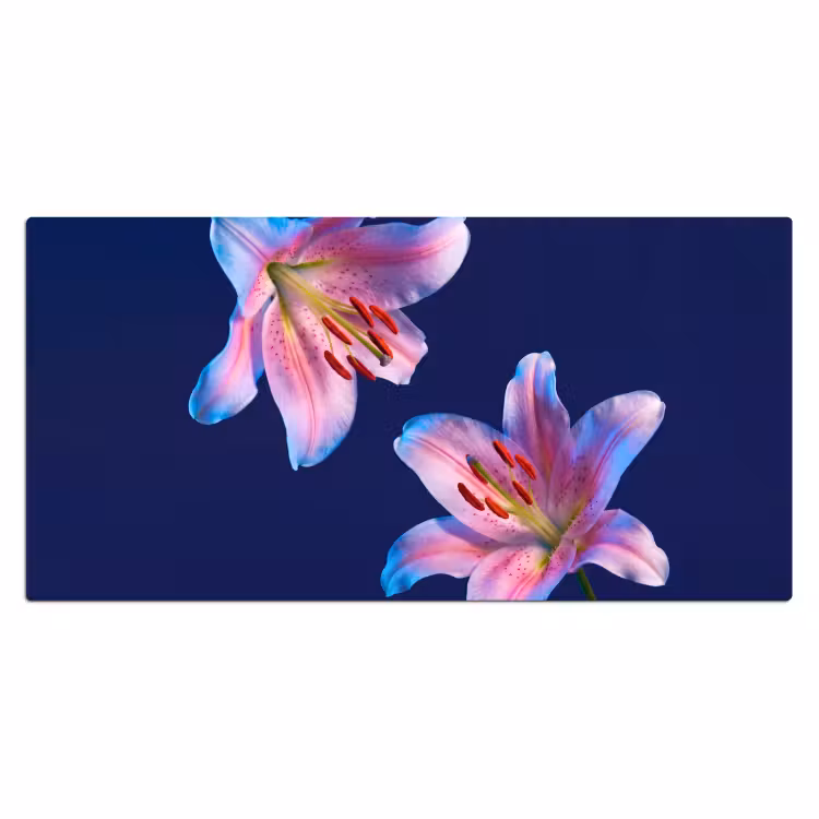 Bureau onderlegger - Bloemen - Kleurrijk - Botanisch — 2