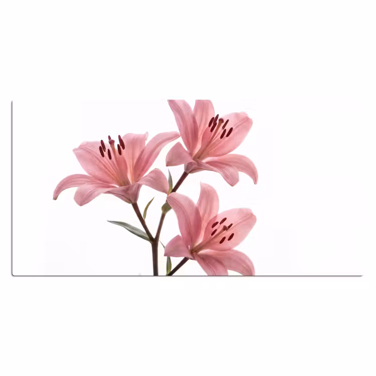 Bureau onderlegger - Bloemen - Zacht - Modern — 2