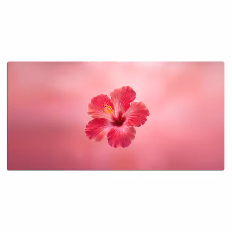 Bureau onderlegger - Rode bloem - Natuur — 2