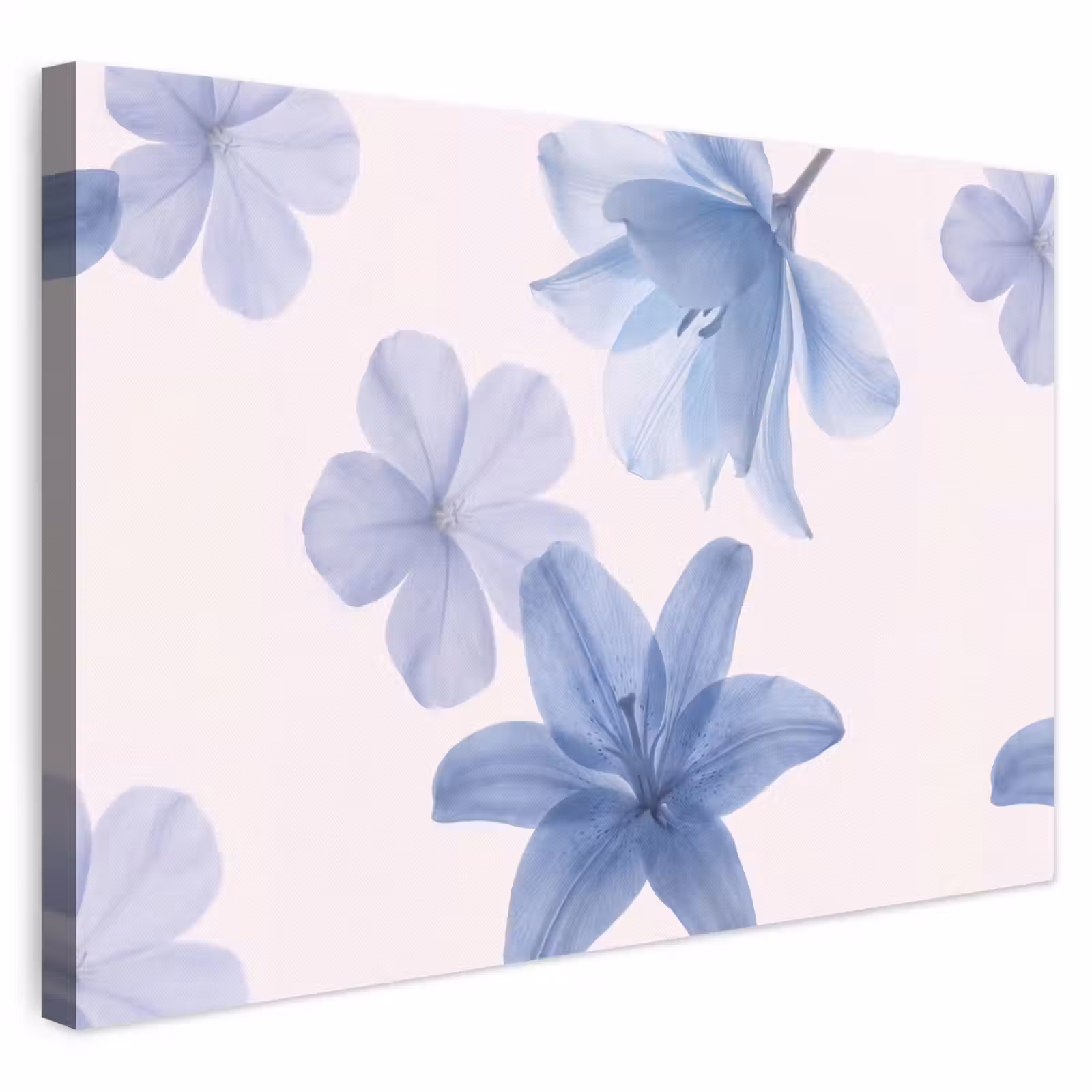 Canvas schilderij - Bloemen - Transparant - Modern — 1