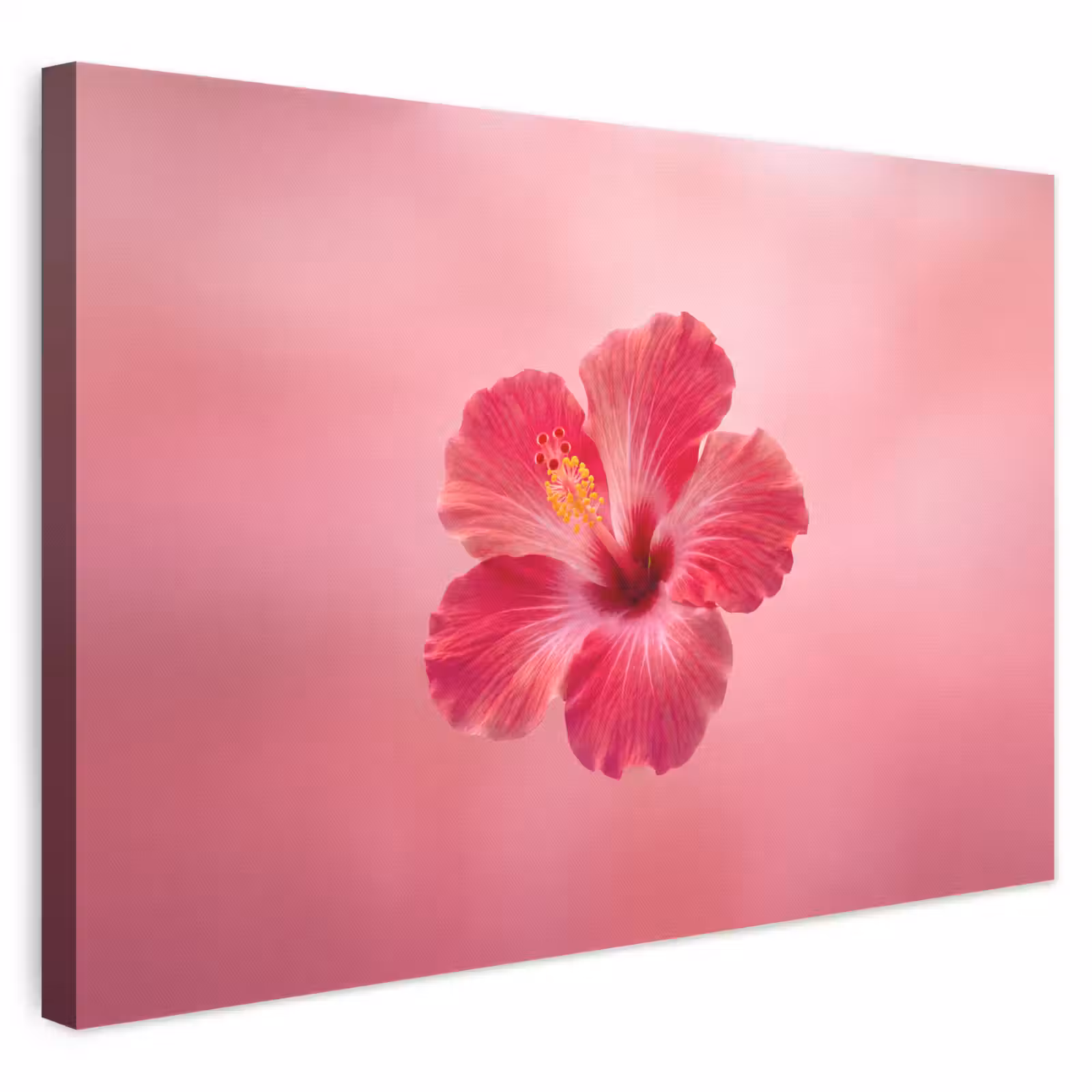 Canvas schilderij - Rode bloem - Natuur — 1