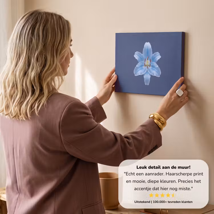 Canvas schilderij - Blauwe lelie - Bloemen — 3