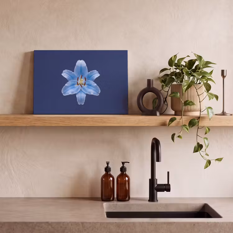 Canvas schilderij - Blauwe lelie - Bloemen — 4