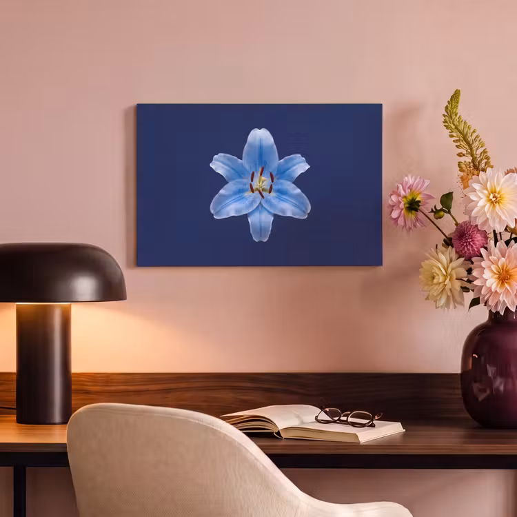 Canvas schilderij - Blauwe lelie - Bloemen — 6