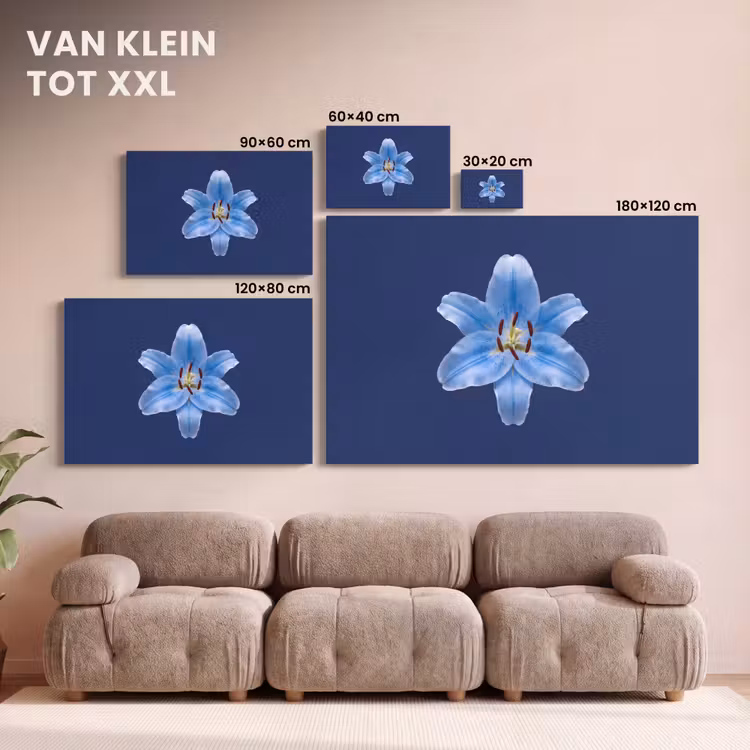 Canvas schilderij - Blauwe lelie - Bloemen — 8