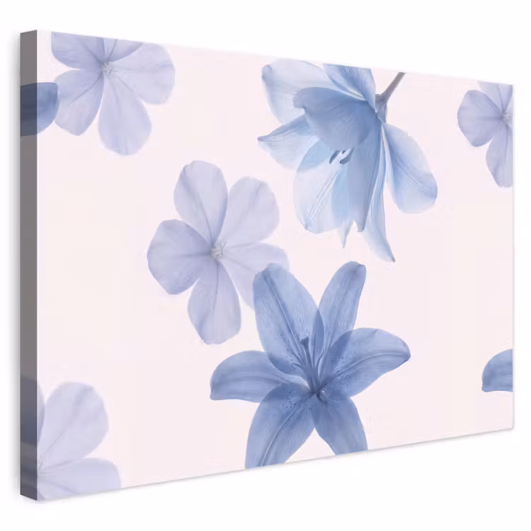 Canvas schilderij - Bloemen - Transparant - Modern — 1