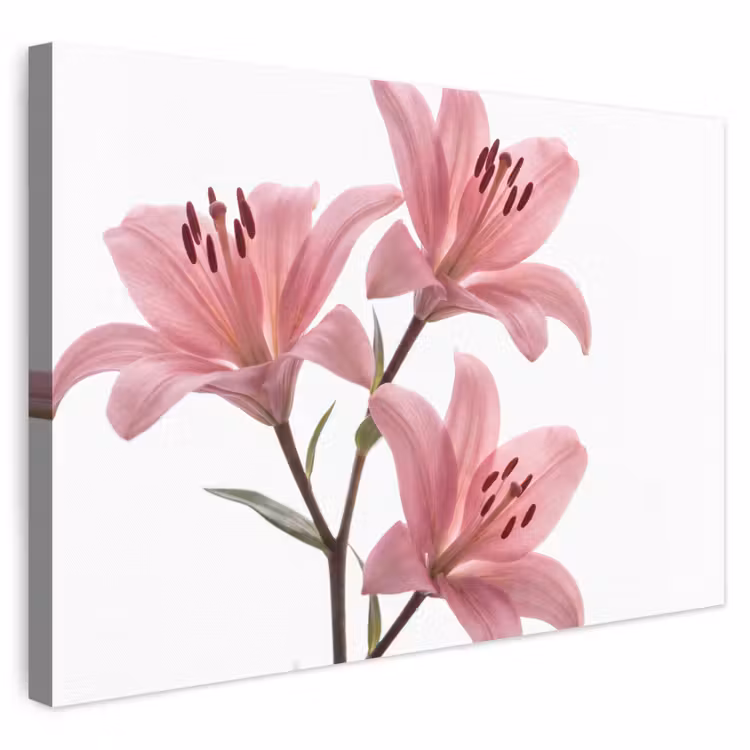 Canvas schilderij - Bloemen - Zacht - Modern — 1