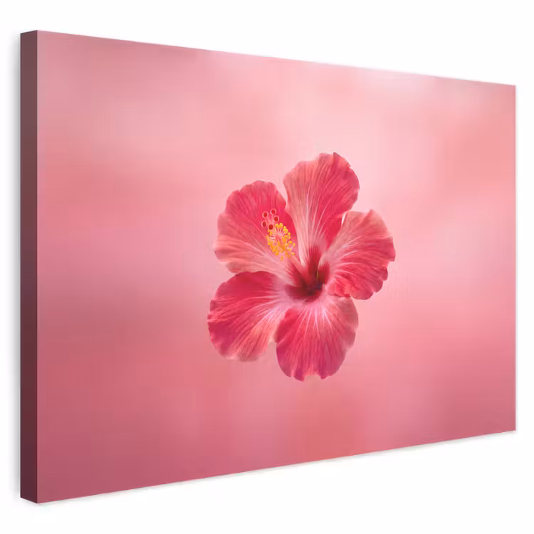 Canvas schilderij - Rode bloem - Natuur — 1