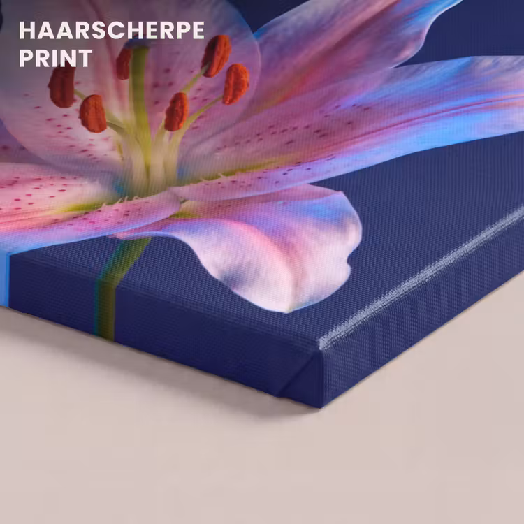 Canvas schilderij - Bloemen - Kleurrijk - Botanisch — 5