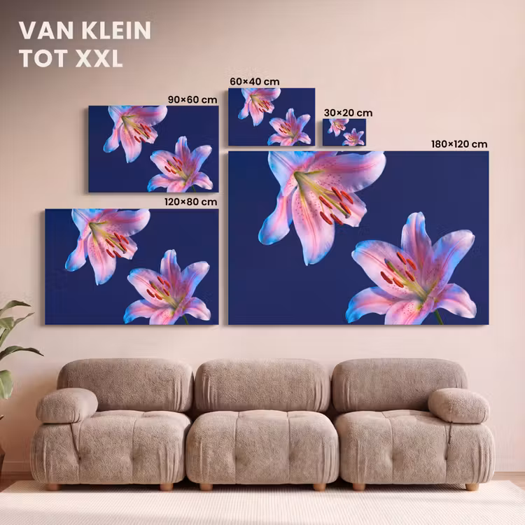 Canvas schilderij - Bloemen - Kleurrijk - Botanisch — 8