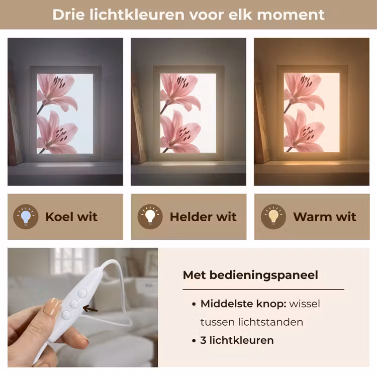 Gepersonaliseerde Lightbox - Bloemen - Zacht - Modern — 6