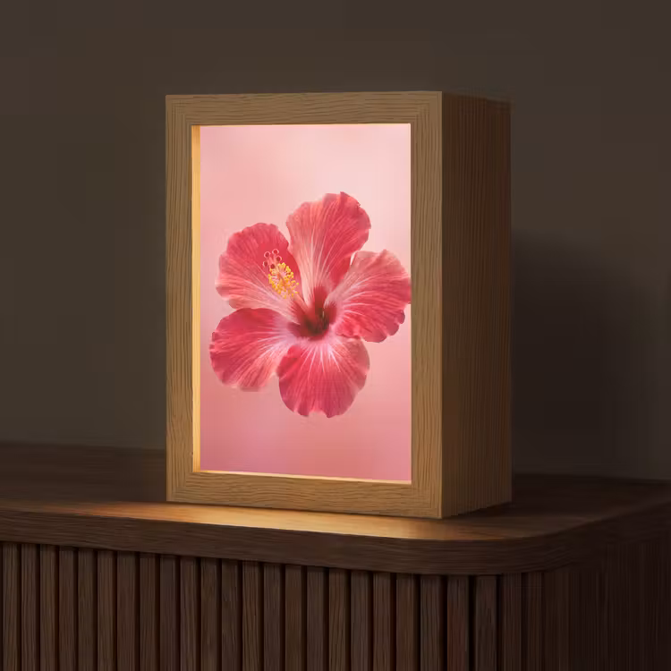 Gepersonaliseerde Lightbox - Rode bloem - Natuur — 1