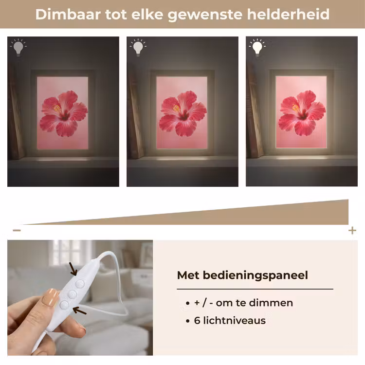 Gepersonaliseerde Lightbox - Rode bloem - Natuur — 8