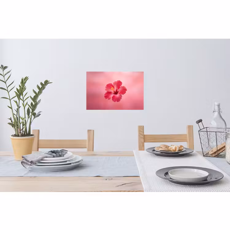 Muursticker - Rode bloem - Natuur — 3