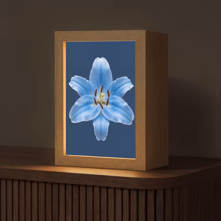 Gepersonaliseerde Lightbox - Blauwe lelie - Bloemen — 1