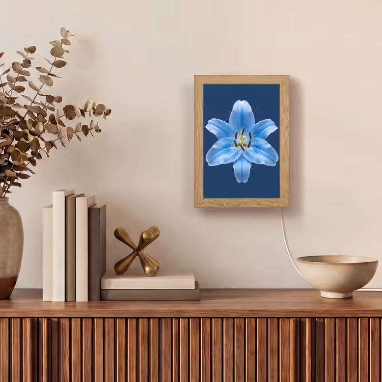 Gepersonaliseerde Lightbox - Blauwe lelie - Bloemen — 4
