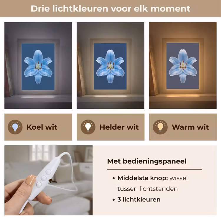Gepersonaliseerde Lightbox - Blauwe lelie - Bloemen — 6