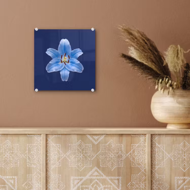 Glas schilderij - Blauwe lelie - Bloemen — 6