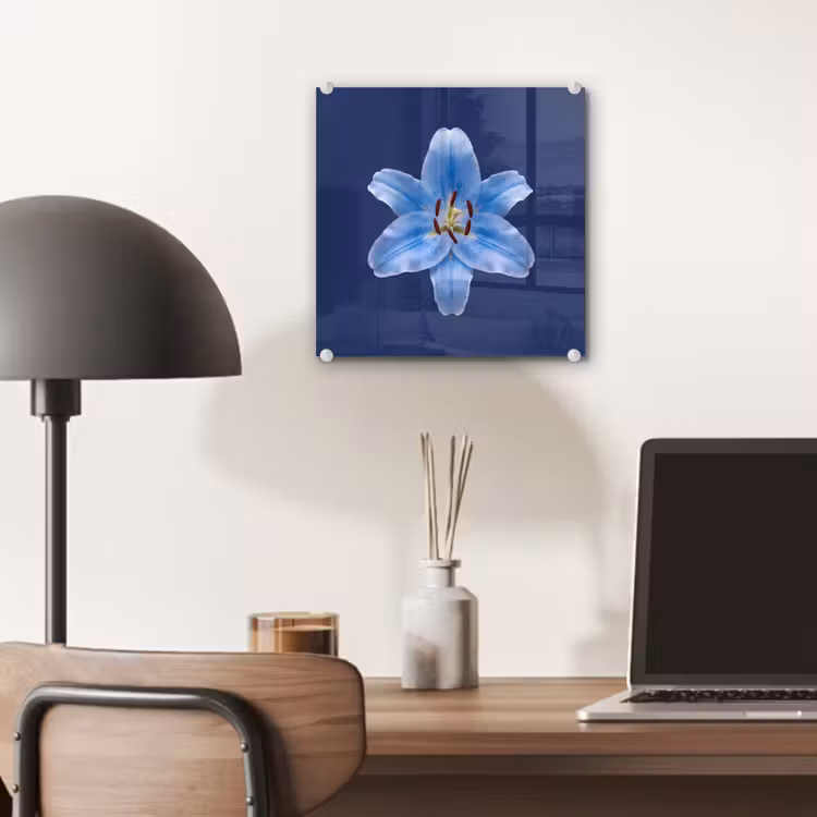 Glas schilderij - Blauwe lelie - Bloemen — 7