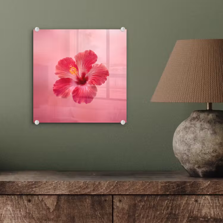 Glas schilderij - Rode bloem - Natuur — 4