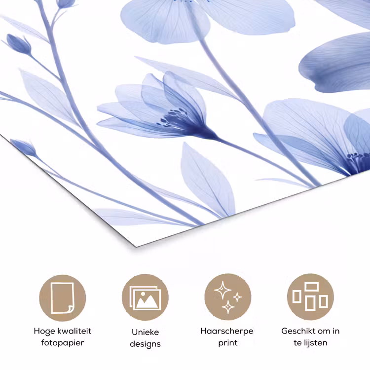 Poster - Blauwe bloemen - Natuur — 5