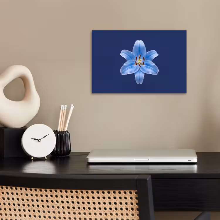 Poster - Blauwe lelie - Bloemen — 2