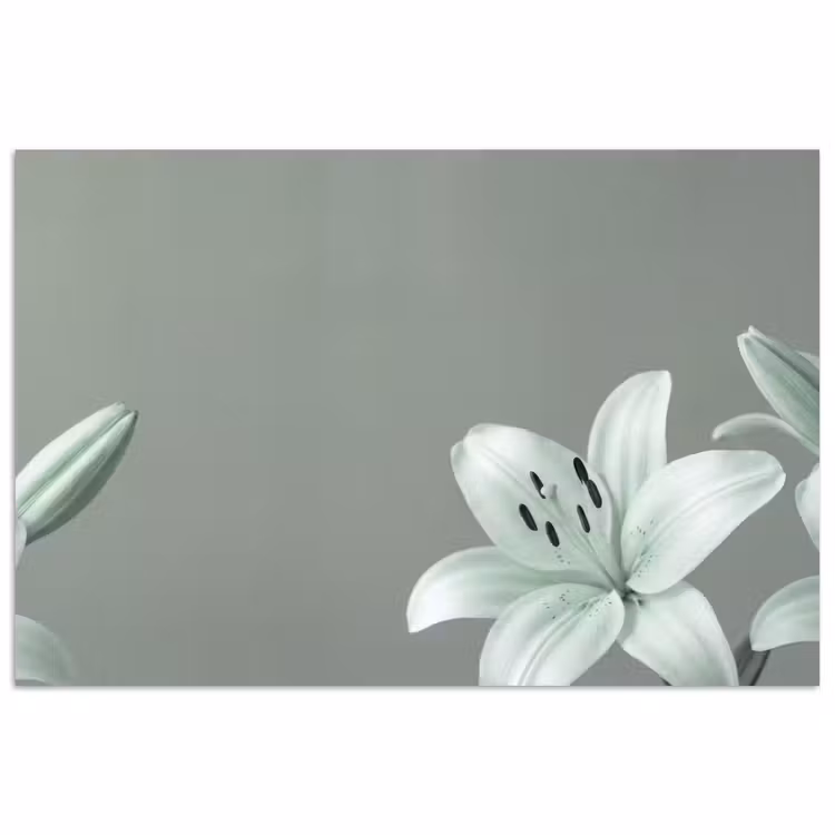 Poster - Bloemen - Natuur - Groen — 1