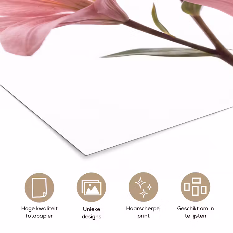 Poster - Bloemen - Zacht - Modern — 5