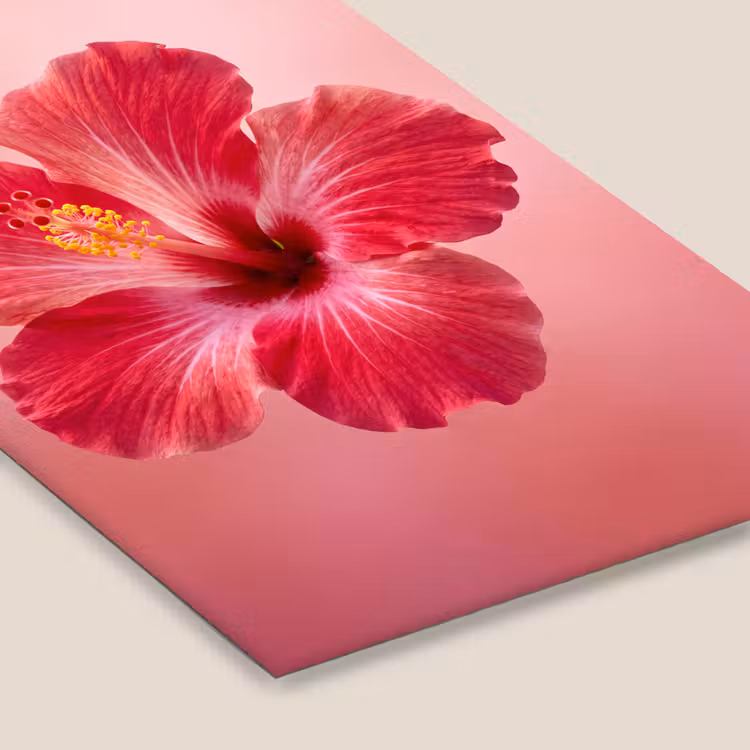Poster met lijst - Rode bloem - Natuur — 7