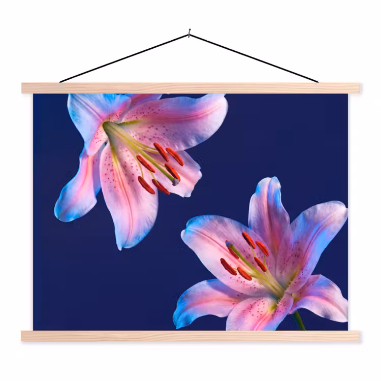 Schoolplaat - Bloemen - Kleurrijk - Botanisch — 1