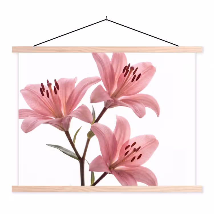 Schoolplaat - Bloemen - Zacht - Modern — 1