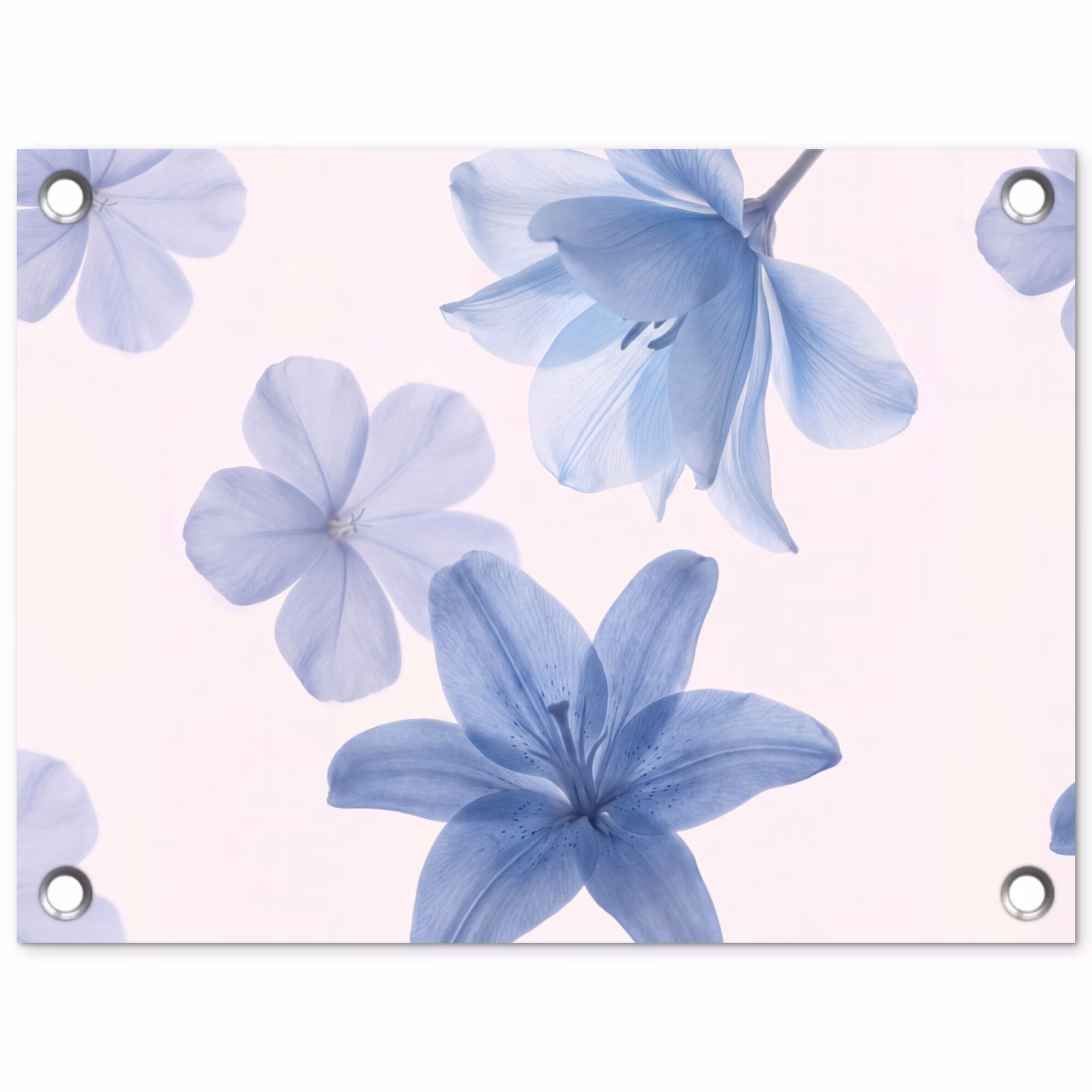 Tuinposter - Bloemen - Transparant - Modern — 1