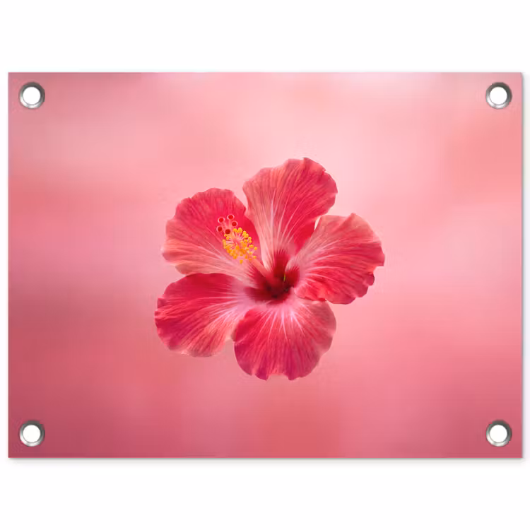 Tuinposter - Rode bloem - Natuur — 1