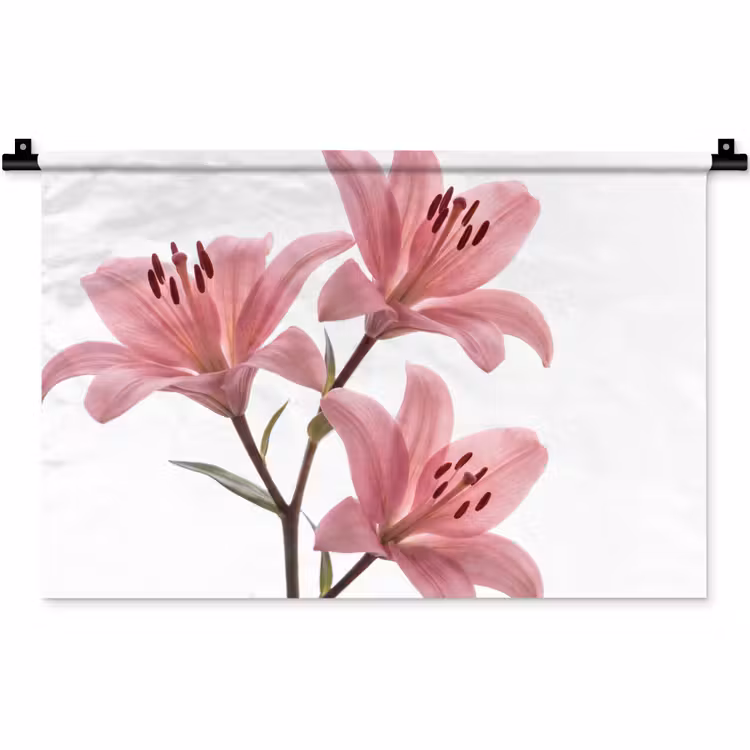 Wandkleed - Bloemen - Zacht - Modern — 1