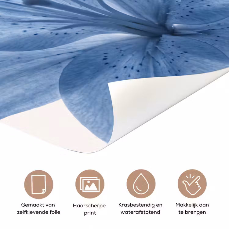 Deursticker - Bloemen - Transparant - Modern — 3
