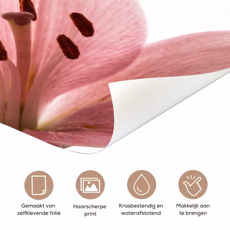 Deursticker - Bloemen - Zacht - Modern — 3