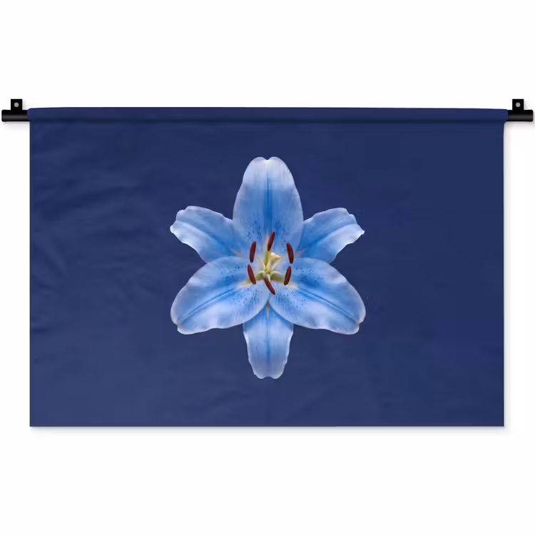Wandkleed - Blauwe lelie - Bloemen — 1