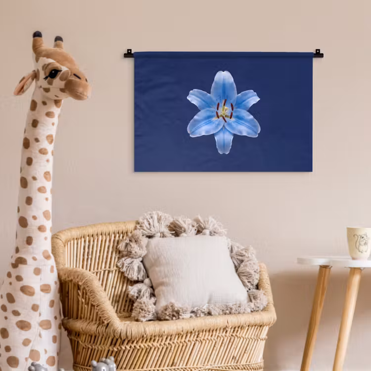 Wandkleed - Blauwe lelie - Bloemen — 5