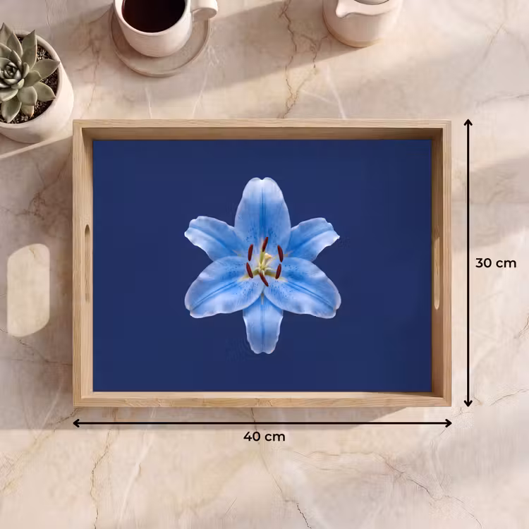 Dienblad - Blauwe lelie - Bloemen — 9