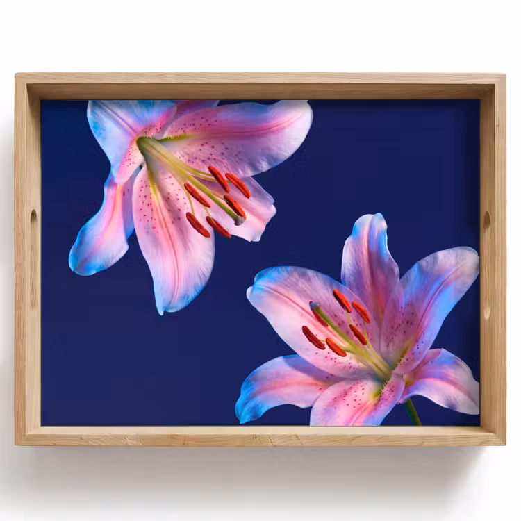 Dienblad - Bloemen - Kleurrijk - Botanisch — 1