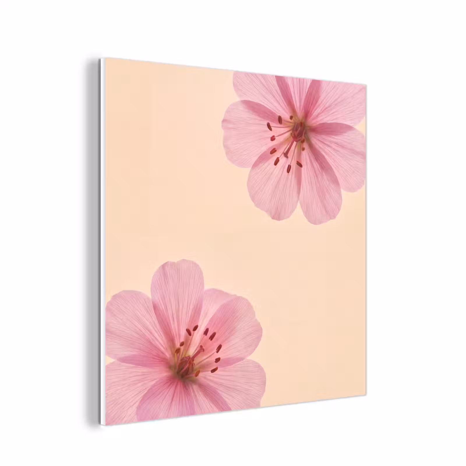 Forex - Bloemen - Flora - Pastel — 1