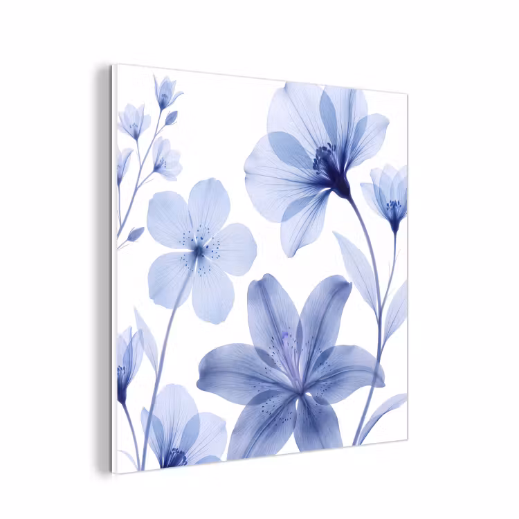 Forex - Blauwe bloemen - Natuur — 1