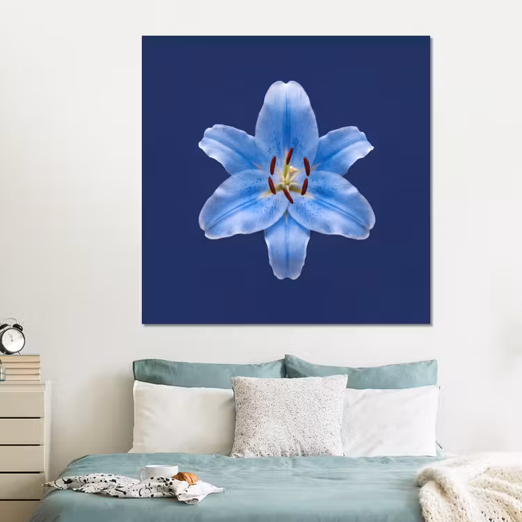 Forex - Blauwe lelie - Bloemen — 2