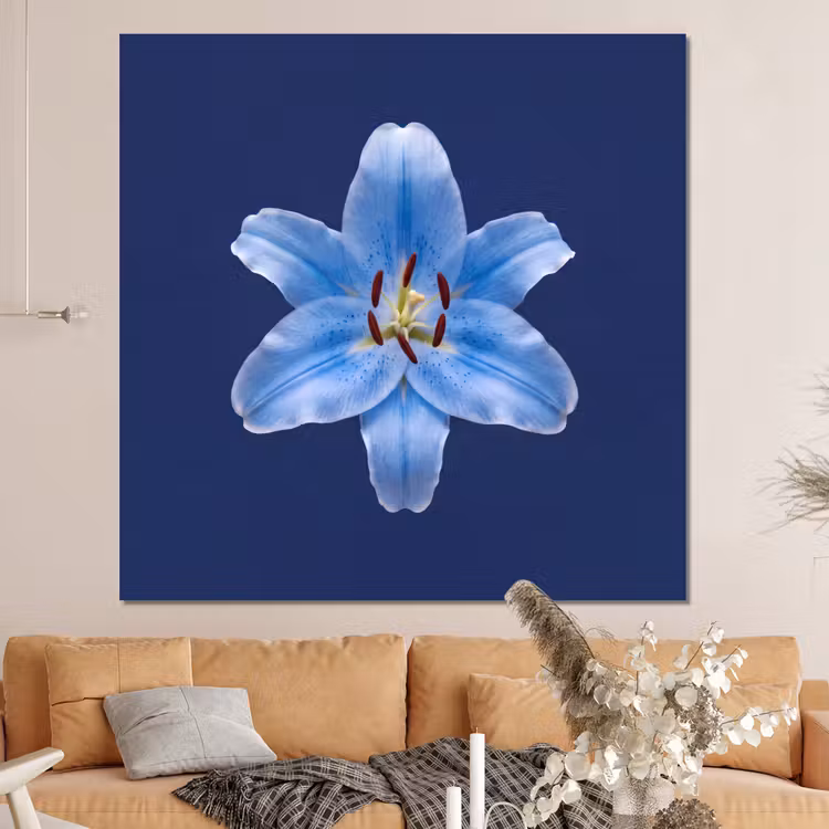 Forex - Blauwe lelie - Bloemen — 4