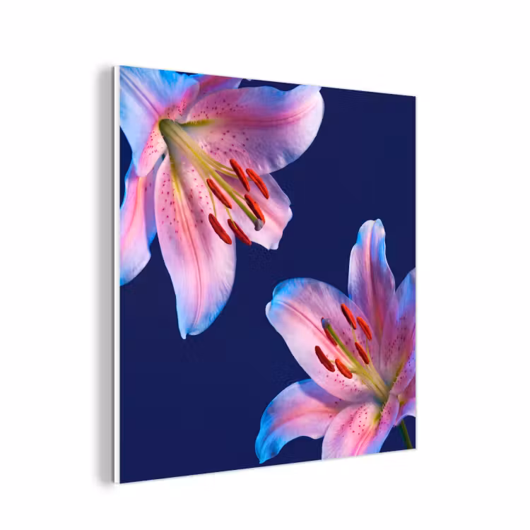 Forex - Bloemen - Kleurrijk - Botanisch — 1