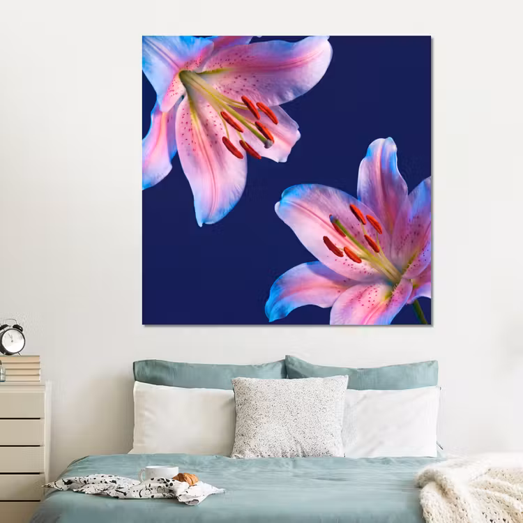 Forex - Bloemen - Kleurrijk - Botanisch — 2