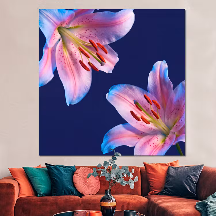 Forex - Bloemen - Kleurrijk - Botanisch — 3